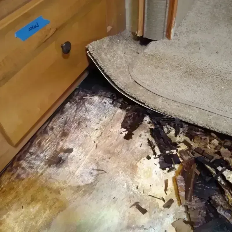 Best Wood Floor Water Damage Service in Hearne, TX